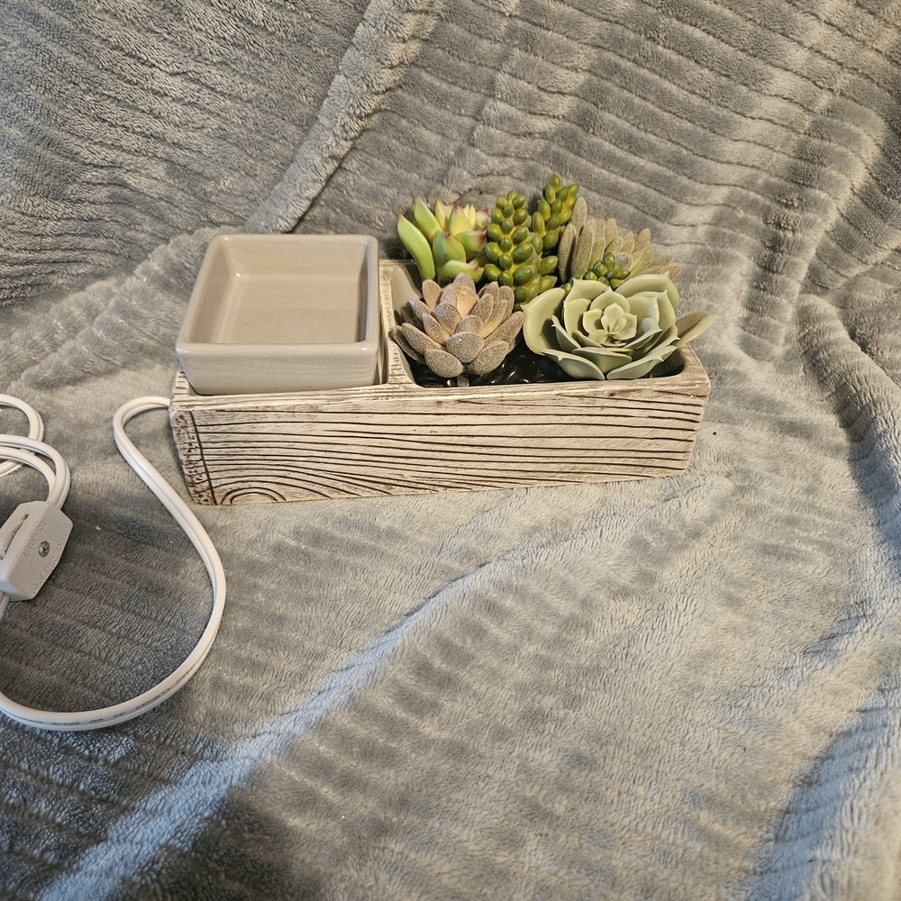 Scentsy Faux Succulent Planter with Cream Tray